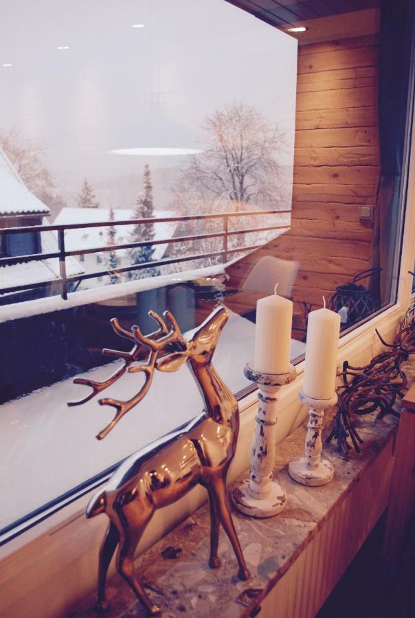 Chalet Am Hasselkopf Braunlage Extérieur photo